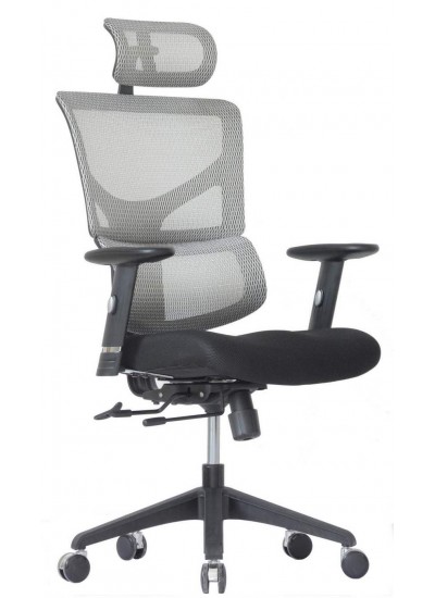 Ergostyle Sail-E color